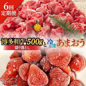 yӂ邳Ɣ[ŁzyS6ցzy󂠂za ؂藎Ƃ  ܂ Zbg1.3kgMEAT PLUS ߉ϐs |   t[c  ʕ ܂ BY  Y 