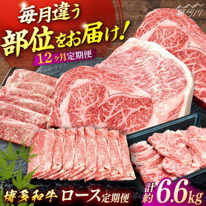 yӂ邳Ɣ[Łza@[Xցyґ12̔aǑzʎВc@ln揤Ђӂ邳ہ ߉ϐs[GBX185]