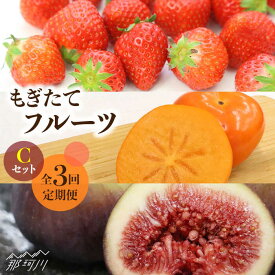 【ふるさと納税】【2026年 先行予約 】【全3回定期便】九州・福岡もぎたて フルーツ定期便 C＜一般社団法人地域商社ふるさぽ＞那珂川市 |ふるーつ あまおう とよみつひめ 秋王 苺 柿 いちじく イチゴ 果物定期便 [GBX023] 40000 40000円 4万円