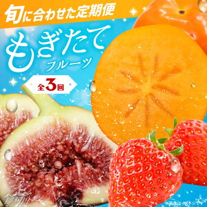 yӂ邳Ɣ[ŁzyS3ցzBE t[c CʎВc@ln揤Ђӂ邳ہ߉ϐs | [GBX023] 40000 40000~ 4~