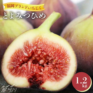 �y�ӂ邳�Ɣ[�Łz�y2026�N9���ȍ~�����z�t���[�c��s�\��I �����I���W�i���i�� �������� �u�Ƃ�݂Ђ߁v��1.2kg����ʎВc�@�l�n�揤�Ђӂ邳�ہ��߉ϐ�s | [GBX026] 10000 10000�~ 1���~ �ȏ�