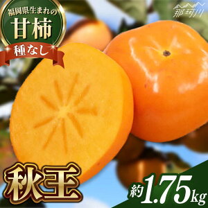 yӂ邳Ɣ[Łzy2025N11ȍ~z蒼I 킪قƂǂȂVuh ` H 1.75kgʎВc@ln揤Ђӂ邳ہ߉ϐs |[GBX050] 20000 20000~ 2~ ȉ