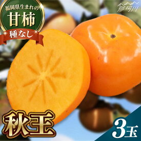 【ふるさと納税】先行予約！【2026年10月以降発送】福岡より直送！ 種がほとんどない新ブランド 柿 秋王 3玉(化粧箱入り)＜一般社団法人地域商社ふるさぽ＞那珂川市 |[GBX052] 10000 10000円 1万円 以上