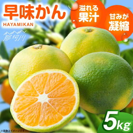 【ふるさと納税】【2026年9月以降発送】産地直送！福岡県オリジナル品種 みかん 「早味かん」 5kg＜一般社団法人地域商社ふるさぽ＞那珂川市 | みかん フルーツ オレンジ 福岡 オリジナル 季節商品[GBX053] 10000 10000円 1万円 以上