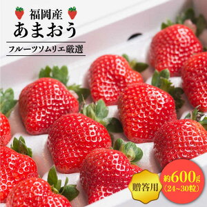 �y�ӂ邳�Ɣ[�Łz�y12����{��蔭���z��s�\��I�����Y ������ ���܂��� �M�t�g���i24-30���j���썑�t���[�c������Ё� �߉ϐ�s ������ �t���[�c �������� �ʕ� ���܂��� ��B�Y � ���Y [G