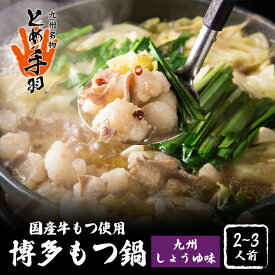 【ふるさと納税】【自宅で楽しむ本場の味】九州名物 とめ手羽 博多 もつ鍋 九州 しょうゆ味 2-3人前＜株式会社フェリックス＞那珂川市 | もつ鍋 モツ鍋 もつなべ もつ鍋セット もつ 鍋 国産 牛 モツ とめ手羽 [GCE003] 10000 10000円 1万円 以上
