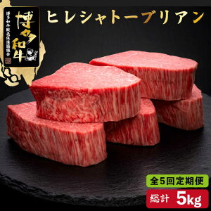 yӂ邳Ɣ[ŁzyS5ցza q Vg[uA 200g×5vcX߉ϐs |    јa uh Y BBQ o[xL[ [GDE031] 1000000 100~