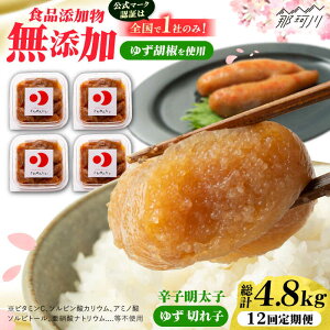 yӂ邳Ɣ[ŁzyS12ցzHiYYhqqu߂񂽂v䂸@ƒp؎q400g(100g×4p) Oy߉ϐs[GDT008]