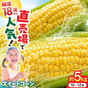 yӂ邳Ɣ[Łzys\ 2026N5蔭ẑ XC[gR[ 5kgi10~12{jY҂肨͂ ʌ Ƃ낱 _߉ϐs | gERV  Yn