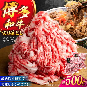 yӂ邳Ɣ[ŁzA4^A5 a ؂藎Ƃ ܐ؂ 500g (250g×2) k{ ߉ϐs[GEU003]