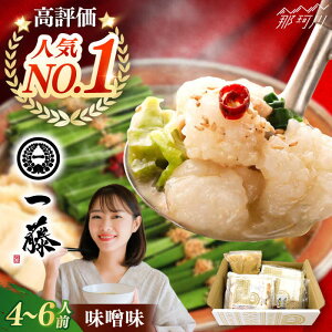 yӂ邳Ɣ[ŁzyIׂeʁzyꓡz Yјa Xorݖ 2`3lOor4~6lOꓡ߉ϐs |  lC  Zbg cix  傤䖡 nO