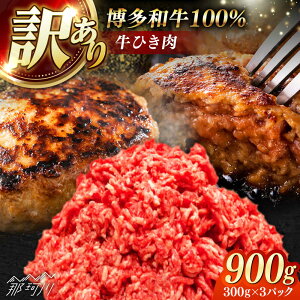yӂ邳Ɣ[Łza100%~`(ғ)y󂠂z900g(300g×3) ؑHi ߉ϐs[GFS022] 10000 10000~ 1~ ȏ