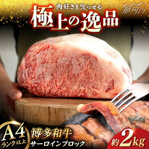 yӂ邳Ɣ[Łza T[C ubN 2kg qT_t[Y߉ϐs |  јa ubN ܂[GFY008] 80000 80000~ 8~