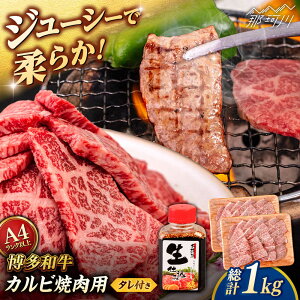 yӂ邳Ɣ[Łza Jr ēp1kg (500g×2p) ē̃^t qT_t[Y߉ϐs | јa  Ăp[GFY012] 30000 30000~ 3~ ȏ