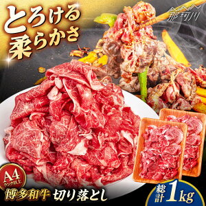 yӂ邳Ɣ[ŁzyA4`A5 za ؂藎Ƃ 1kg (500gx2P) qT_t[Y߉ϐs |[GFY023] 30000 30000~ 3~