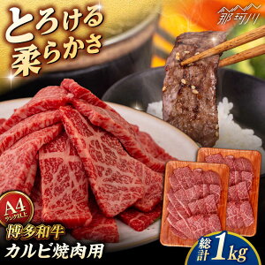 yӂ邳Ɣ[ŁzyA4`A5 za Jr ēp 1kg (500g×2p) qT_t[Y߉ϐs |[GFY028] 30000 30000~ 3~ ȏ