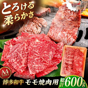 yӂ邳Ɣ[ŁzyA4`A5 za  ēp 600g qT_t[Y߉ϐs |[GFY033] 20000 20000~ 2~ ȉ