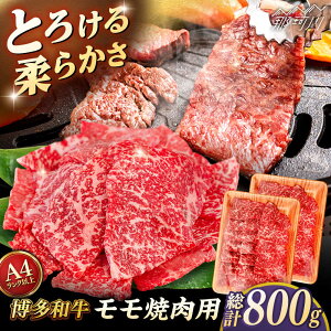 yӂ邳Ɣ[ŁzyA4`A5 za  ēp 800g (400g×2p) qT_t[Y߉ϐs |[GFY034] 30000 30000~ 3~ ȉ
