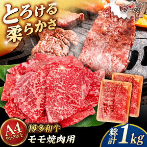 yӂ邳Ɣ[ŁzyA4`A5 za  ēp 1kg (500g×2p) qT_t[Y߉ϐs |[GFY035] 30000 30000~ 3~ ȏ