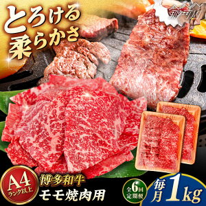 yӂ邳Ɣ[ŁzyS6ցzyA4/A5za  ēp 1kg (500g×2p) qT_t[Y߉ϐs | јa  Ă[GFY037] 190000 19~ ȏ