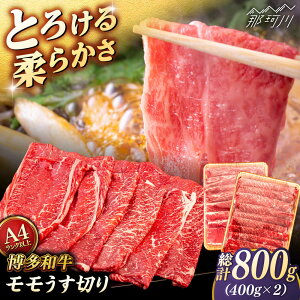 yӂ邳Ɣ[ŁzyA4`A5 za  ؂ 800g (400g×2p) qT_t[Y߉ϐs |[GFY063] 20000 20000~ 2~ ȏ