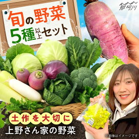 【ふるさと納税】旬の野菜セット 5種類以上＜上野さん家の野菜＞那珂川市[GGD001]