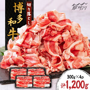 yӂ邳Ɣ[Łza ؂藎Ƃ 1200gi300g×4pjЂ恄߉ϐs |   јa uh Y BBQ o[xL[ [GZI001] 20000 20000~ 2~ ȉ