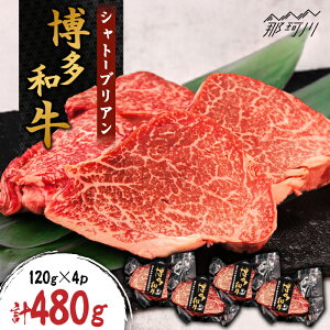 yӂ邳Ɣ[Łza Vg[uA 480gi120g×4jЂ恄߉ϐs |   јa uh Y BBQ o[xL[ [GZI002] 70000 70000~ 7~ ȏ