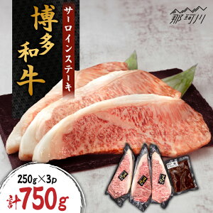 yӂ邳Ɣ[Łza T[CXe[L 750gi250g×3jƐW|l\[XtЂ恄߉ϐs | [GZI009] 50000 50000~ 5~