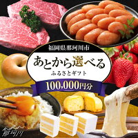 あとからゆっくり返礼品を選べる！年末までに急ぐ必要なし♪