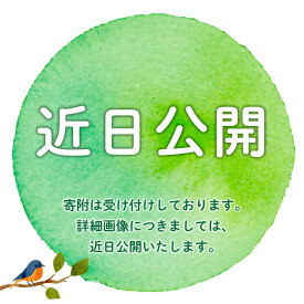 【ふるさと納税】 【希少 生はちみつ】100％ 純粋 はちみつ 百花蜜 3種 セット