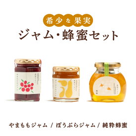 【ふるさと納税】 ＜選べる組み合わせ＞【希少な果実ジャム！】やまももジャム ぼうぶらジャム 純粋蜂蜜【株式会社南畑ぼうぶら会議】