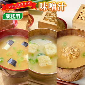 【ふるさと納税】 選べる味噌汁15～45食セット フリーズドライ 業務用 南関あげの味噌汁 揚げなすの味噌汁 納豆の味噌汁 送料無料 手軽 簡単 キャンプ アウトドア みそ汁 スープ BY003