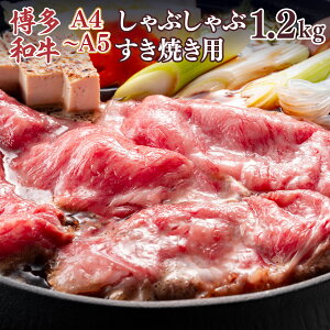 yӂ邳Ɣ[Łz a yA4`A5z [XԂ Ă 600g 2p 1.2kg [MEAT PLUS  F um40azp010040]   a [X  