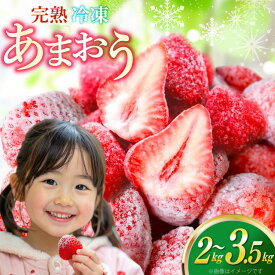 【ふるさと納税】 いちご 冷凍 選べる 量 あまおう 完熟 2kg 3.5kg [ストロベリーファーム 福岡県 宇美町 um40azp070004] イチゴ 苺 フルーツ 冷凍フルーツ 冷凍いちご 冷凍苺 冷凍イチゴ 果物 果実 甘い あまい
