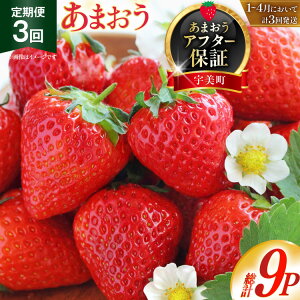 yӂ邳Ɣ[Łz yԌ蔭z   ܂ 3pbN 3 v9pbN [THE FARM_strawberry  F um40azo780004] s\ C`S  t[c ʕ ʎ Â   