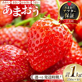 【ふるさと納税】 期間限定 いちご あまおう 250g× 4パック 選べる発送月 [増田青果 福岡県 宇美町 um40beq650000] 先行予約 苺 イチゴ フルーツ 果物 果実 甘い あまい 季節限定