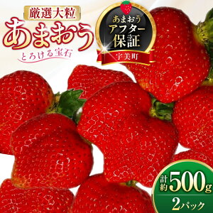 yӂ邳Ɣ[Łz  I嗱 ܂ 250g`270g 2pbN v 500g [THE FARM_strawberry  F um40azo780013]  C`S t[c ʕ ʎ  Â ܂ 嗱