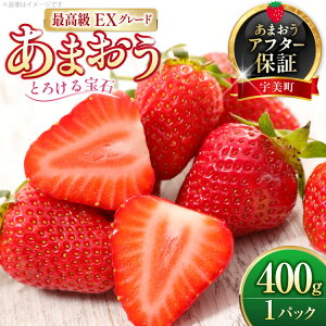 yӂ邳Ɣ[Łz  ܂ v~AEX 400g 1pbN ϔ[THE FARM_strawberry  F um40azo780014]  C`S Â ܂ t[c ʕ ʎ