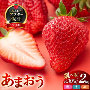 �y�ӂ邳�Ɣ[�Łz�y���Ԍ��蔭���z ������ ���܂��� �I�ׂ� �� �~ �����Y 2�p�b�N 4�p�b�N 8�p�b�N 12�`15�� 24�`30�� [�썑�t���[�c ������ �F���� um40azo970034] ��s�\�� �C�`�S � �t���[�c �ʕ�