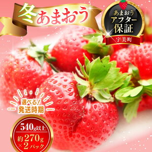 �y�ӂ邳�Ɣ[�Łz �y�N�������z�I�ׂ� �������� ������ ���܂��� �~���܂��� 270g�ȏ� 2p �v540g�ȏ� [�X�g���x���[�t�@�[�� ������ �F���� um40azp070002] ��s�\�� �C�`�S � �t���[�c �ʕ� �ʎ� 