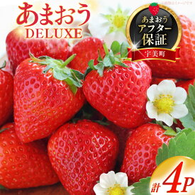 【ふるさと納税】 【期間限定発送】 いちご あまおう デラックス 4p [THE FARM_strawberry 福岡県 宇美町 um40azo780001] 先行予約 イチゴ 苺 フルーツ 果物 果実 甘い あまい 小分け 4パック