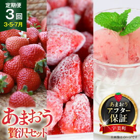 【ふるさと納税】 【期間限定発送】 いちご 定期便 贅沢セット フレッシュ あまおう & 冷凍あまおう & ジェラート 2種 [THE FARM_strawberry 福岡県 宇美町 um40azo780005] アイス 先行予約 イチゴ 苺 フルーツ 果物 果実 甘い 小分け 定期 あまい