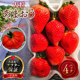 【ふるさと納税】 【期間限定発送】 いちご あまおう 厳選大粒 4p [THE FARM_strawberry 福岡県 宇美町 um40azo780007] 先行予約 イチゴ 苺 大粒 フルーツ 果物 果実 甘い 小分け あまい 4パック