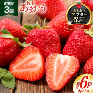 yӂ邳Ɣ[Łz yԌ蔭z   ܂ 2p 3 v6P [THE FARM_strawberry  F um40azo780012] s\ C`S  t[c ʕ ʎ Â   ܂