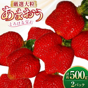 yӂ邳Ɣ[Łz  I嗱 ܂ 250g`270g 2pbN v 500g [THE FARM_strawberry  F um40azo780013]  C`S t[c ʕ ʎ  Â ܂ 嗱