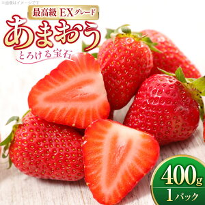 yӂ邳Ɣ[Łz  ܂ v~AEX 400g 1pbN ϔ[THE FARM_strawberry  F um40azo780014]  C`S Â ܂ t[c ʕ ʎ