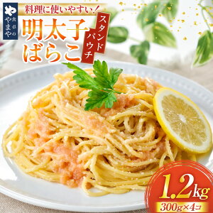 �y�ӂ邳�Ɣ[�Łz �����q ��܂� �����΂炱 �X�^���h�p�E�`�^�C�v 300g 4�� �v 1.2kg �Z�b�g [��܂�R�~���j�P�[�V�����Y ������ �F���� um40azo860017] ���� ������ �߂񂽂��� �����q�p�X�^ ����