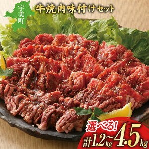 yӂ邳Ɣ[Łz  Iׂ  t ē Zbg 1.2kg ` 4.5kg [ѐHi  F um40azo890008]  Ă n~ Jr t ē  Ⓚ