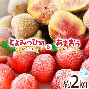 �y�ӂ邳�Ɣ[�Łz �t���[�c �Ⓚ ���܂��� �� �Ⓚ ��݂Ђ� �Z�b�g �v��2kg [�n�揤�Ђӂ邳�� ������ �F���� um40bfw220006] ������ �������� �ʕ� �C�`�S � �C�`�W�N ���ԉ� �������� �W���� 